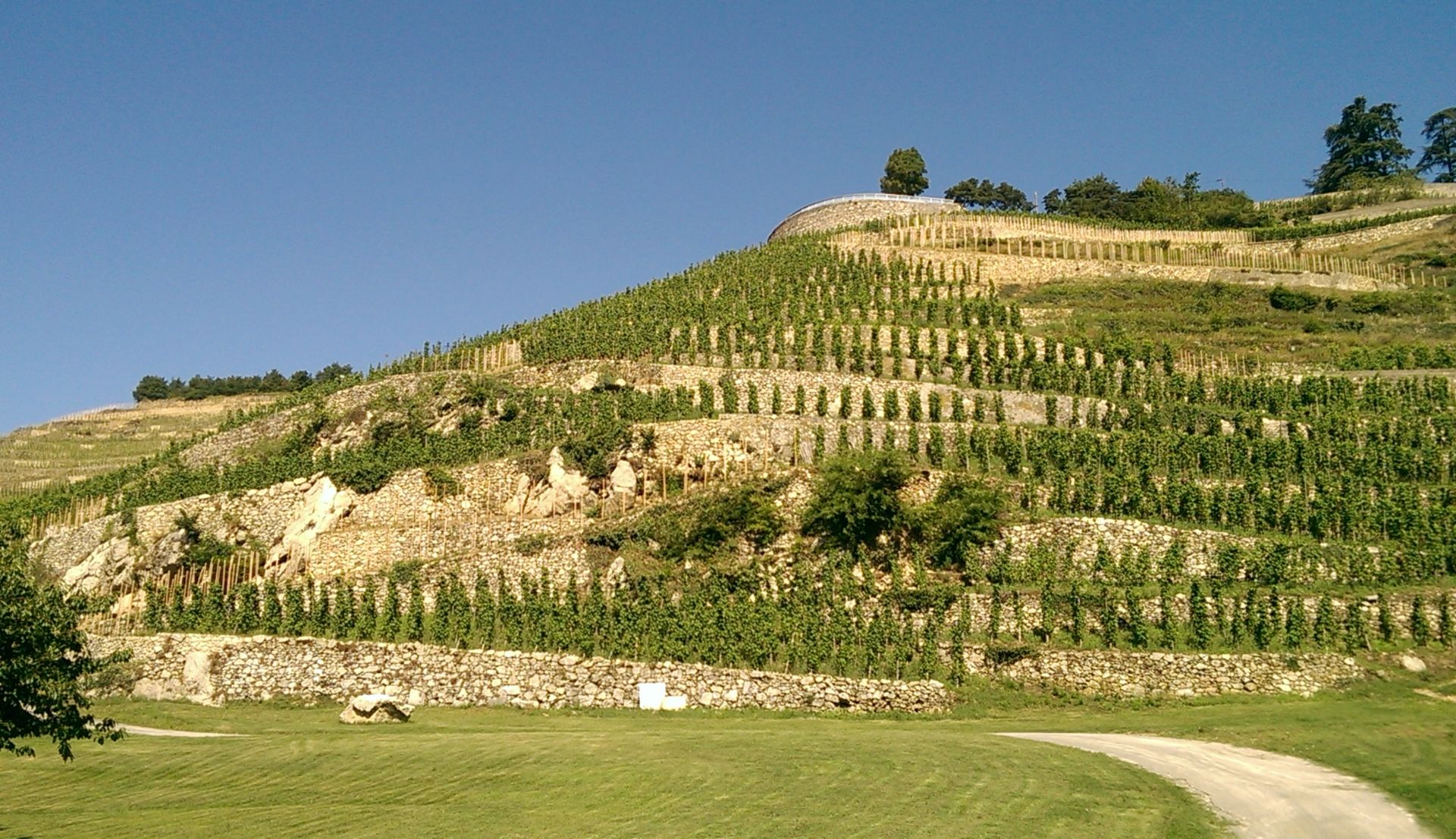 Vineyards from the north of the Rhone Valley - Le Vin à la Bouche